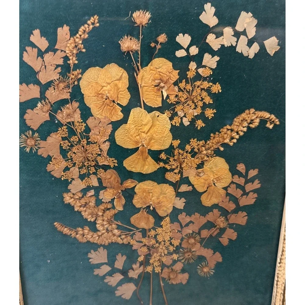 Vintage Framed Velvet Pressed Dried Flowers Wall Art Decor Original cottage Core